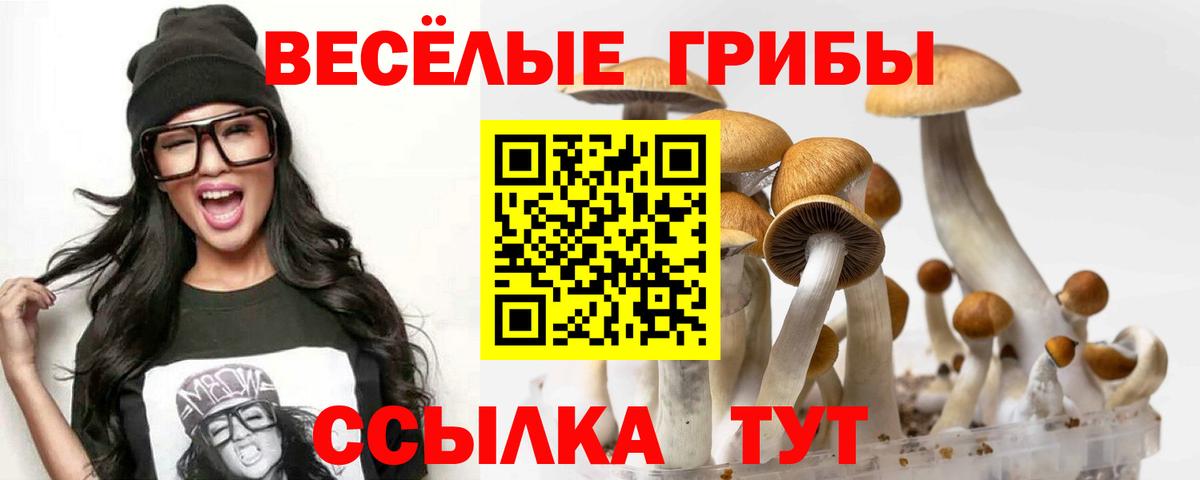 Галлюциногенные грибы ЛСД Алушта